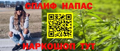 амф Новодвинск