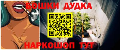 амф Новодвинск