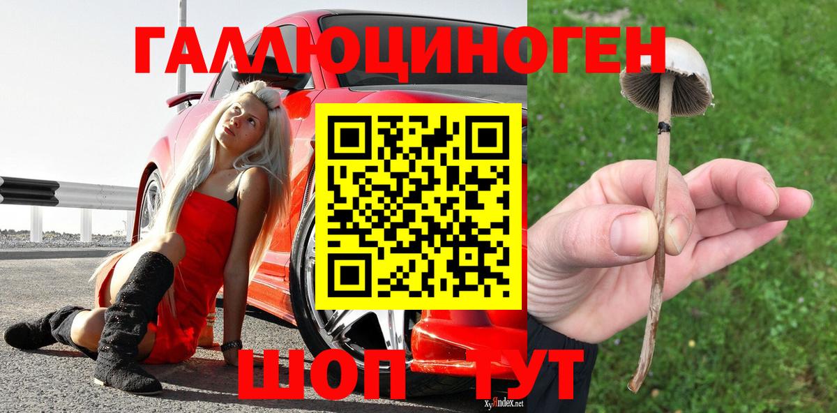 Псилоцибиновые грибы мицелий  Вход с VPN  Белебей 