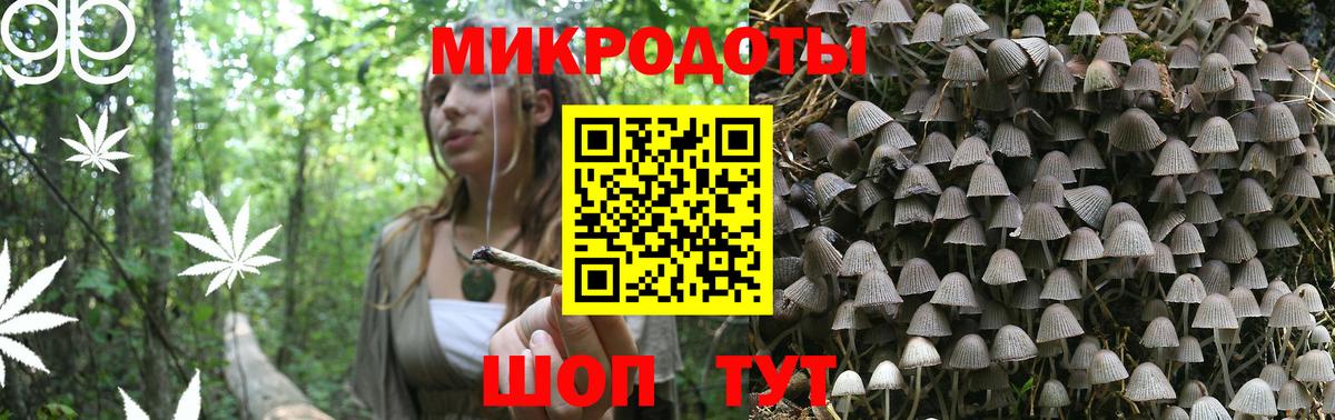 Галлюциногенные грибы Psilocybe Белебей